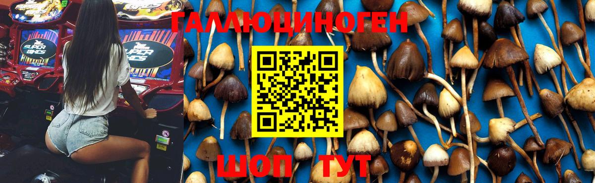 Псилоцибиновые грибы Psilocybe  Вход с VPN  Ртищево 